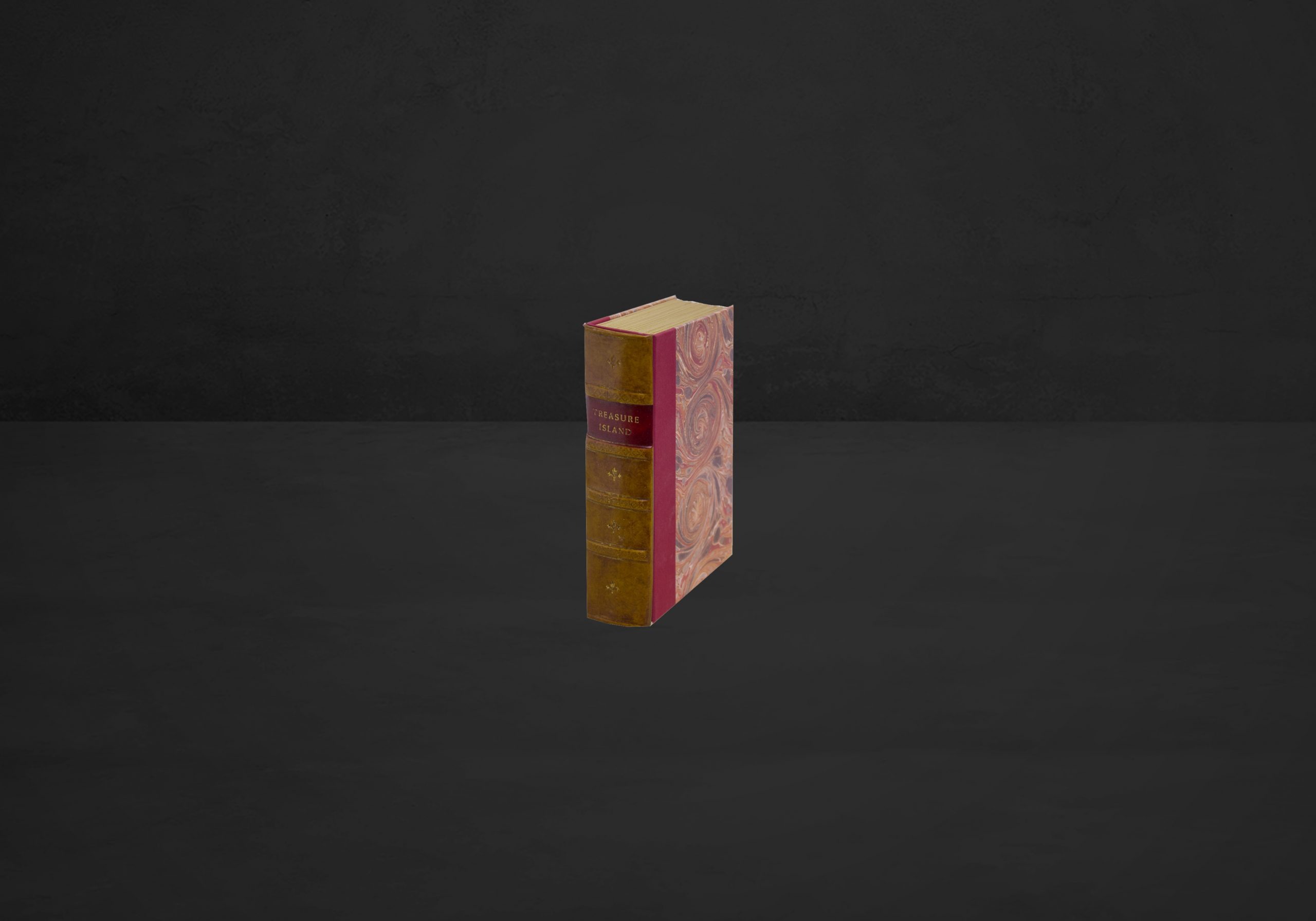 Book Safe Treasure Island – Bild 2