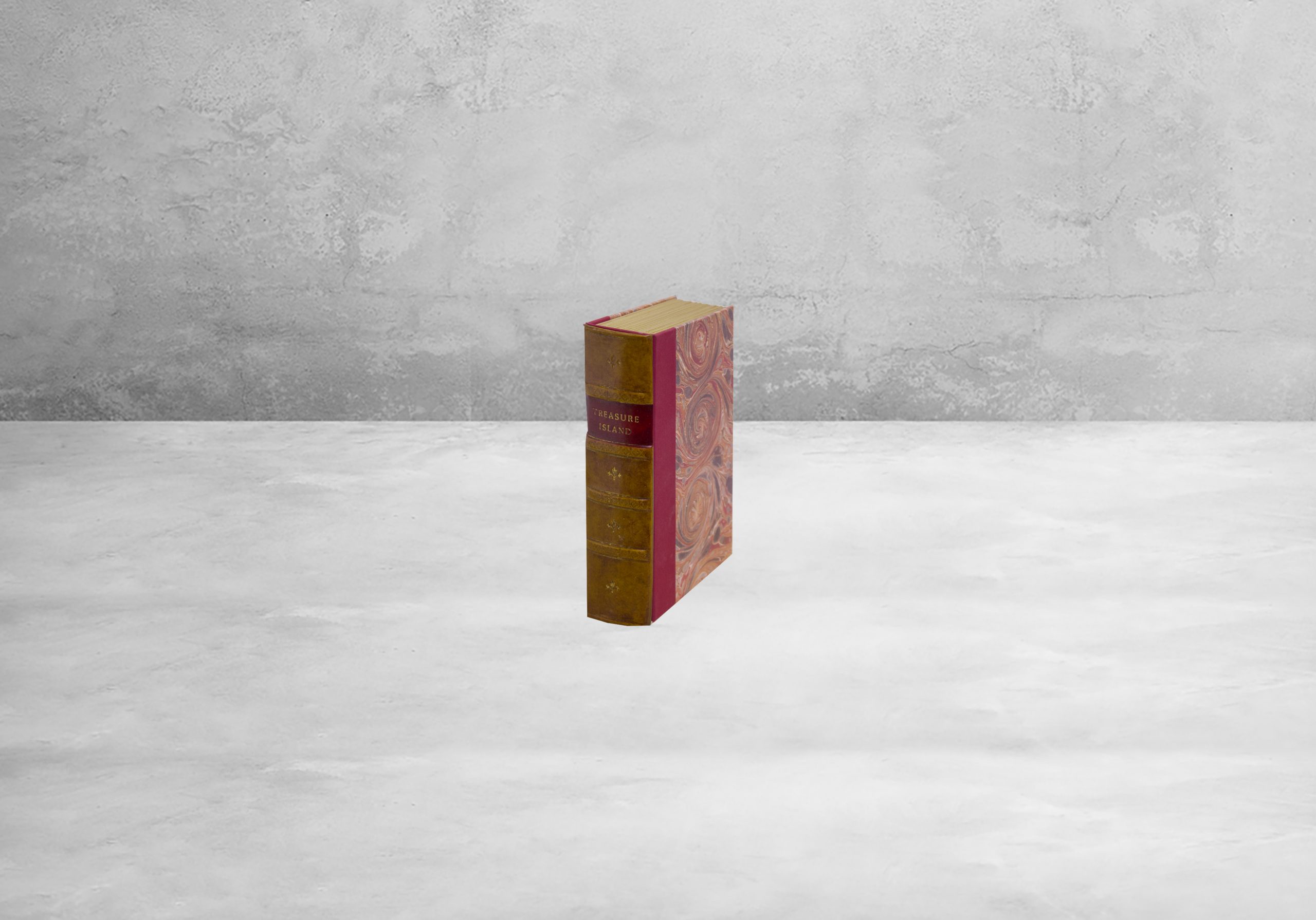 Book Safe Treasure Island – Bild 5